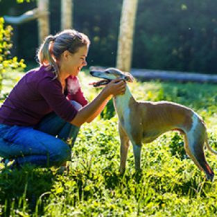 1607_1382_large-1