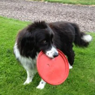 Blog Post Cover Picture- Annie