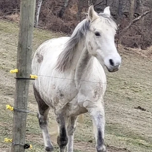 Jazz feeling his best