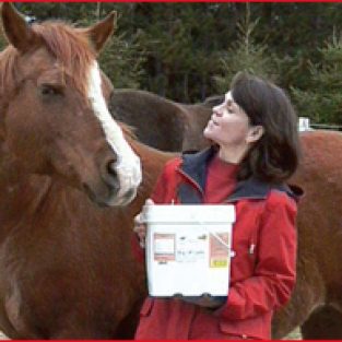 2010-cherylpeterson-2