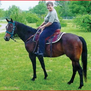 2010-sarahschade-2