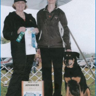 2010-suesibley-4