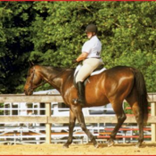 2011-GinsMargaret-2