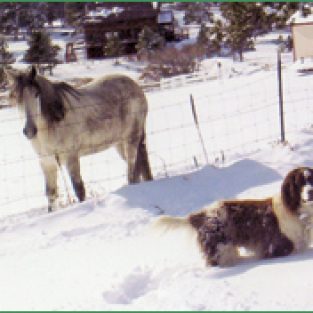 2011-HutmacherLinda-2