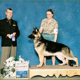 2011-SalvucciKathy-2