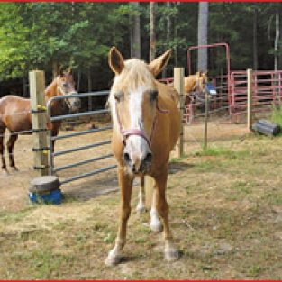 2011-Tompkins-Glenna-2