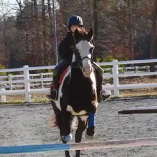2018-josey-k-bogh-1