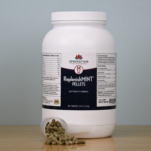 ReplenishMINT Pellets Product Image