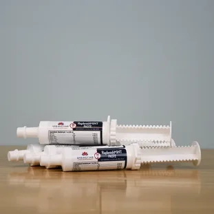 ReplenishMINT Paste Product Image