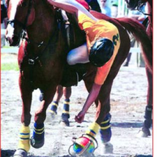 22azalee-2