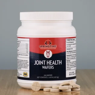 Joint Health Wafers