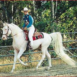 BERRYHILL-1