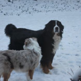 Barlow_Lilia_93219_Bently_and_Ari-1
