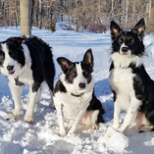 Barnhart_Krysta_704355_Britt_Ellie_Kai-3