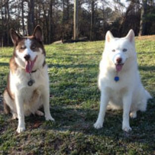Brooks_Dixie_Sprocket_KaTie_M-1