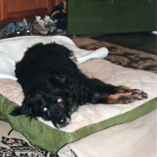 Burnfield_Marei_555221_Smokey-1