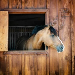 E0041-grid-horsestall-lg