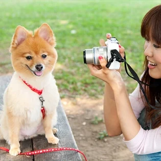 E0049-grid-dogmodel-lg