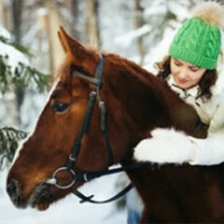 E0060-grid-winterhorse-lg