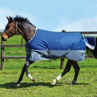 E0063-grid-horseblanket-lg