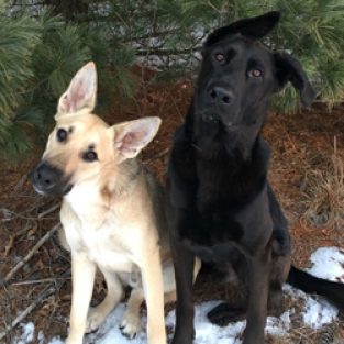 Field_Sara_195343_Ryder_Bubba-2