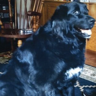 Johnson_Sondra_641304_Heidi-1