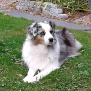 Kimura_Patty_756119_Poppy-1