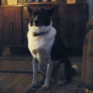 Maxine_Mobbs_317398-1