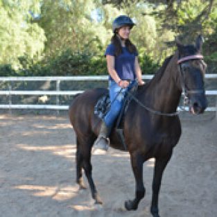 More_Marlin_49316_Emma_riding_Dolly-1