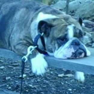 Mulderig_Kate_69555_myboy-1