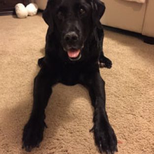 Norman_Vicki_674268_Duke-1