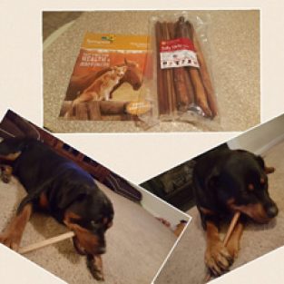 Papay_Heather_718347_Jumbo_Bully-1