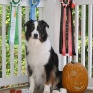 Pierce_Pat_298591_Spooky-1