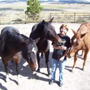 Province_Jessee_77240_horses_TinyToo-1