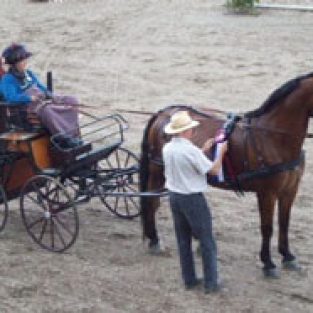 Sara_St_Peter_driving_with_Erwin_475423-1