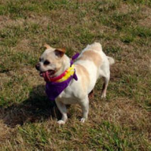 Siegert_Rick_616761_Kipper-1