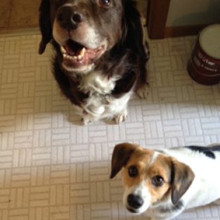 fuller_AlfieandJenny-1