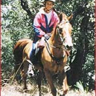 tracelyteshorse-8