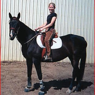 vedder07B-1