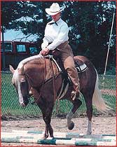 Gold Cedar enjoying his senior years.